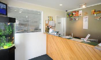 Ascot Epsom Motel