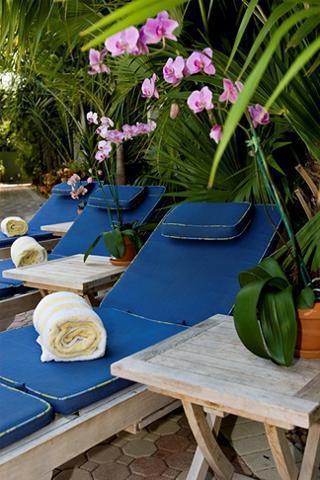 Almond Tree Inn