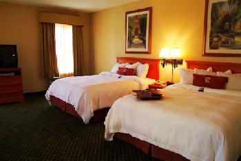 Hampton Inn  Suites St PetersburgDowntown