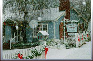 Piety Hill Cottages