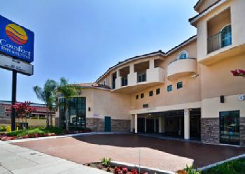 Comfort Inn & Suites Near Universal Studios