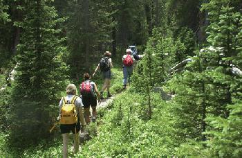 Sonnenalp Resort Of Vail