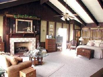 Reality Ranch Quarter Horses--