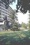 International Hotel Bertha