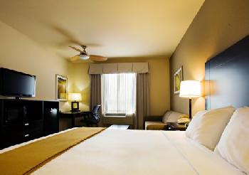 Holiday Inn Express Hotel & Suites SHAMROCK NORTH