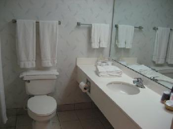 Holiday Inn Express WASHINGTON-CAROLINA AVE-HWY 17