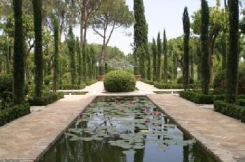 Incosol Hotel Medical And Resort