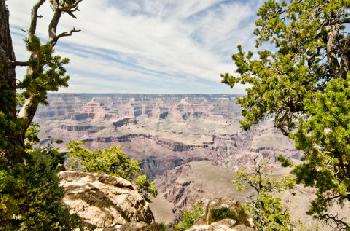 BEST WESTERN PREMIER Grand Canyon Squire Inn