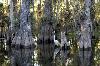 Hampton Inn  Suites Ft Lauderdale/WestSawgrass/Tamarac