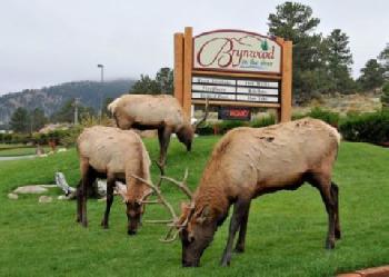 Brynwood on the River