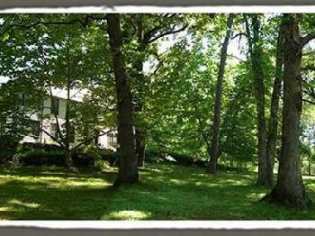 Black Mountain Inn