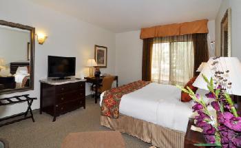 BEST WESTERN PLUS Hotel at the Convention Center
