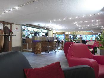 Hotel Alpina