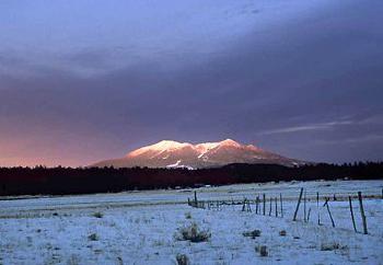Residence Inn Flagstaff