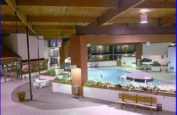 Holiday Inn JASPER-CONFERENCE CENTER