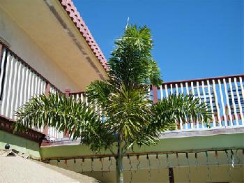 Tropicaire Motel