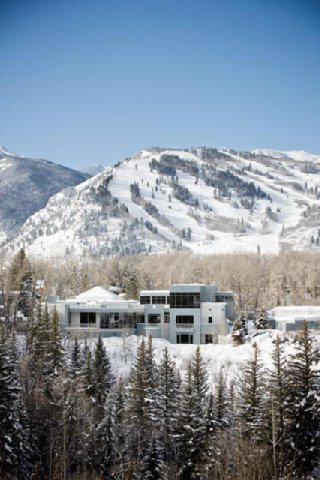 Aspen Meadows