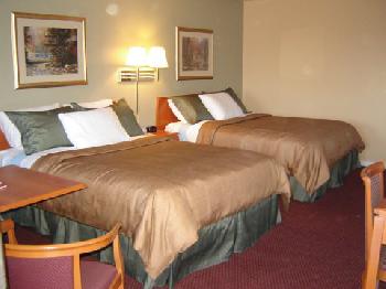 Tulip Inn