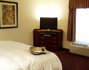 Hampton Inn  Suites Muncie