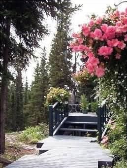 Castle Alaska