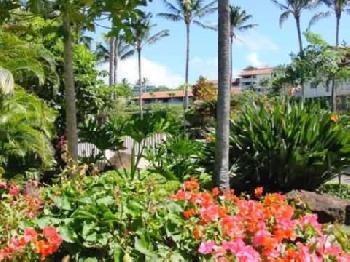 Nihi Kai Villas