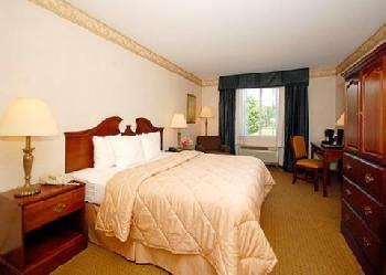 Comfort Inn & Suites East Greenbush