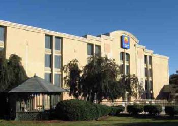 Comfort Inn Millennium