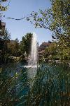 Wyndham Branson at the Falls