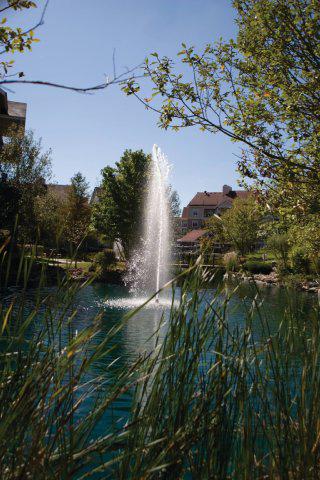 Wyndham Branson at the Falls