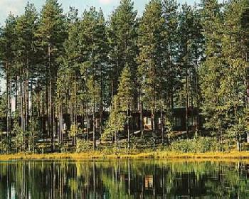 Rantasipi Joutsenlampi