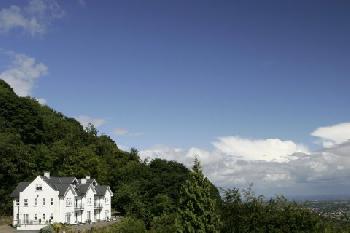 Cottage in the Wood