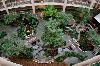 Embassy Suites Syracuse