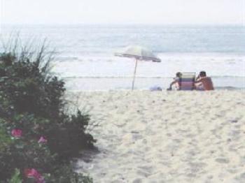 Shorelands Guest Resort and Co