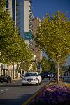 BETHESDA DOUBLETREE HOTEL