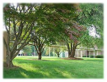 A SummerHouse Inn