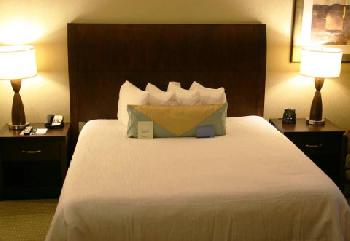 Hilton Garden Inn Atlanta WestLithia Springs