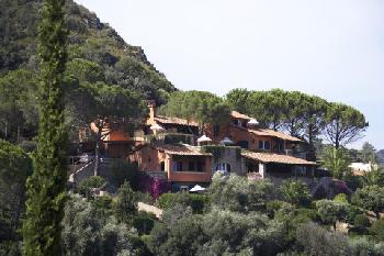 Il Pellicano