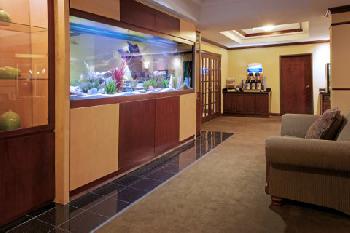 Holiday Inn Express Hotel & Suites PEARLAND
