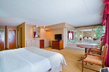 Holiday Inn CHICAGO NW CRYSTAL LK CONV CTR