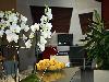 all seasons Catania Acireale