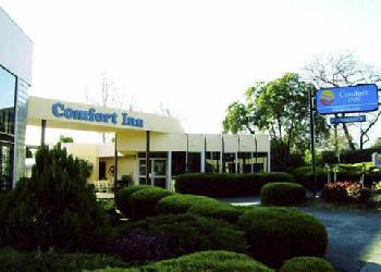 Comfort Inn Ringwood Lake