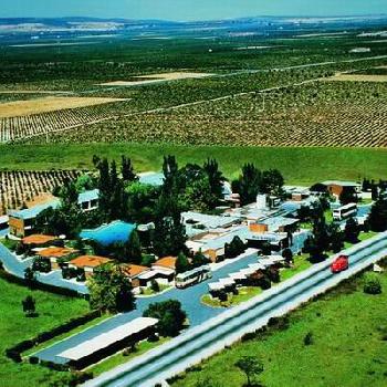 El Hidalgo