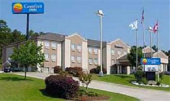 Comfort Inn Camden