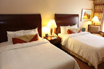 Hilton Garden Inn Rochester Downtown