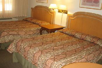 Safari Inn