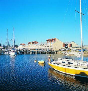 Quest Harbour Vilage Serviced