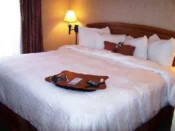 Hampton Inn by Hilton Saltillo Airport Area
