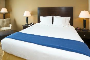Holiday Inn Express Hotel & Suites FT MYERS EAST- THE FORUM