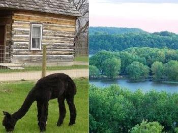 Galena Log Cabin Getaway