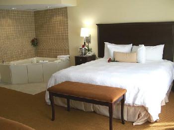 Hampton Inn  Suites Rogers